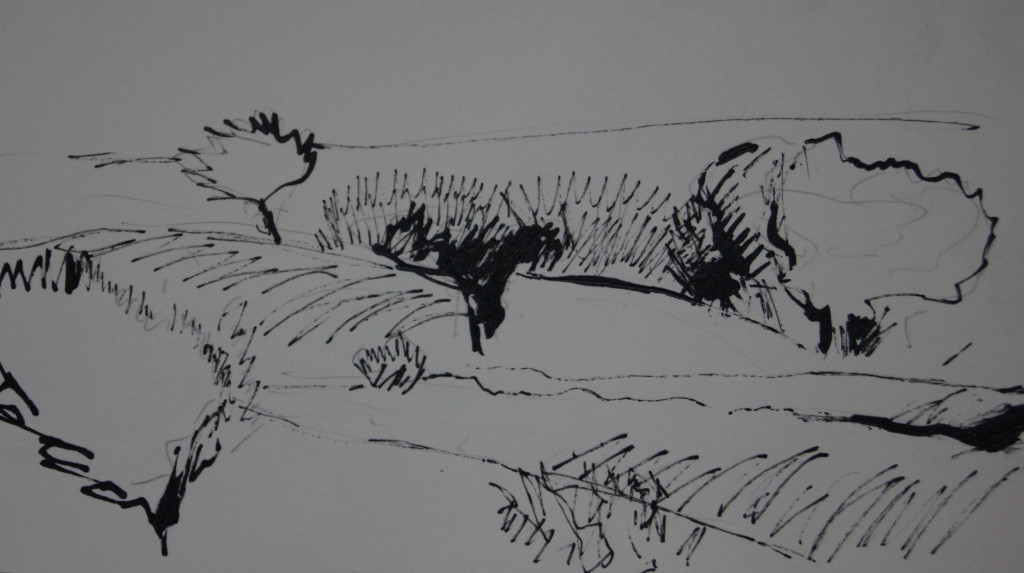 trees in the wind/2007/ink