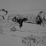trees in the wind/2007/ink
