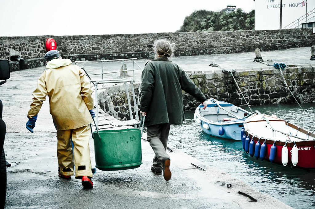 a regular morning (2011)