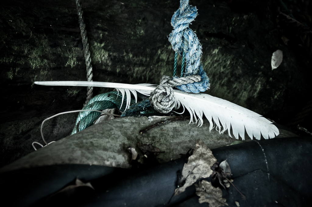 feather