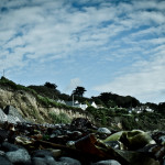 Cornwall (2011)