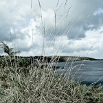 Cornwall (2011)