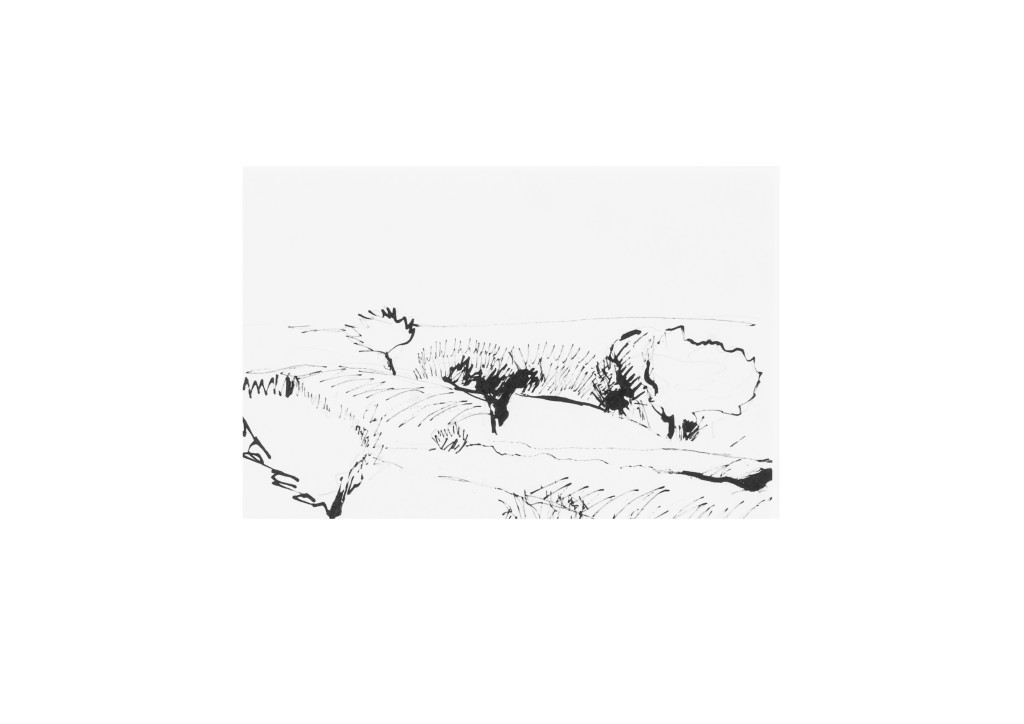 24 +Land Isle of Wight Stift 2007